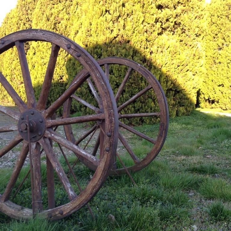 Villa Agriturismo Albero Del Latte Bagnolo San Vito Exterior foto